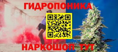 сатива Надым